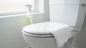 czym myć deskę klozetową