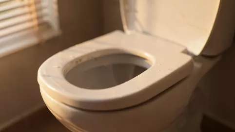deska do ubikacji